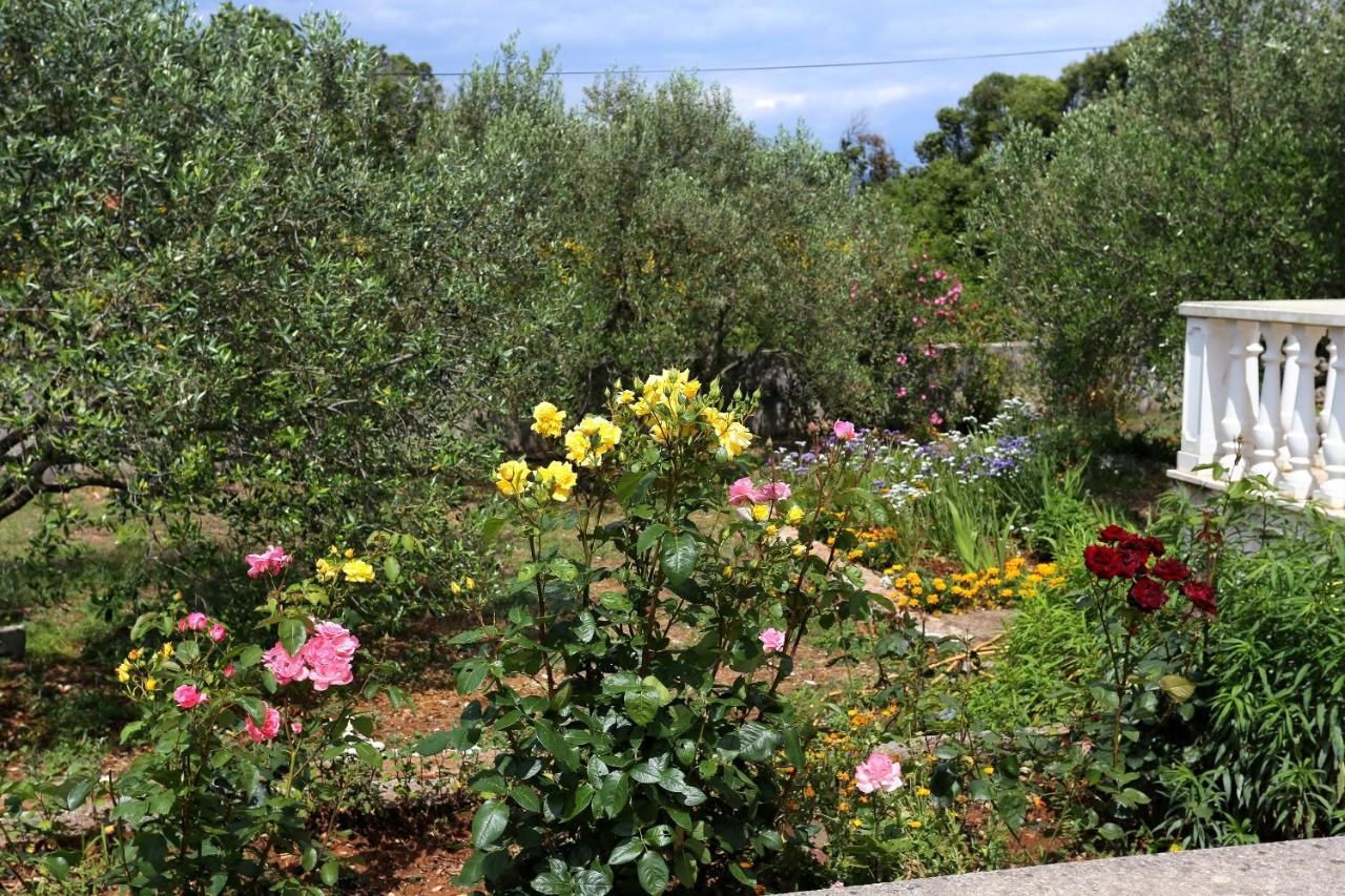 Apartments By The Sea Drace, Peljesac - 10127 מראה חיצוני תמונה