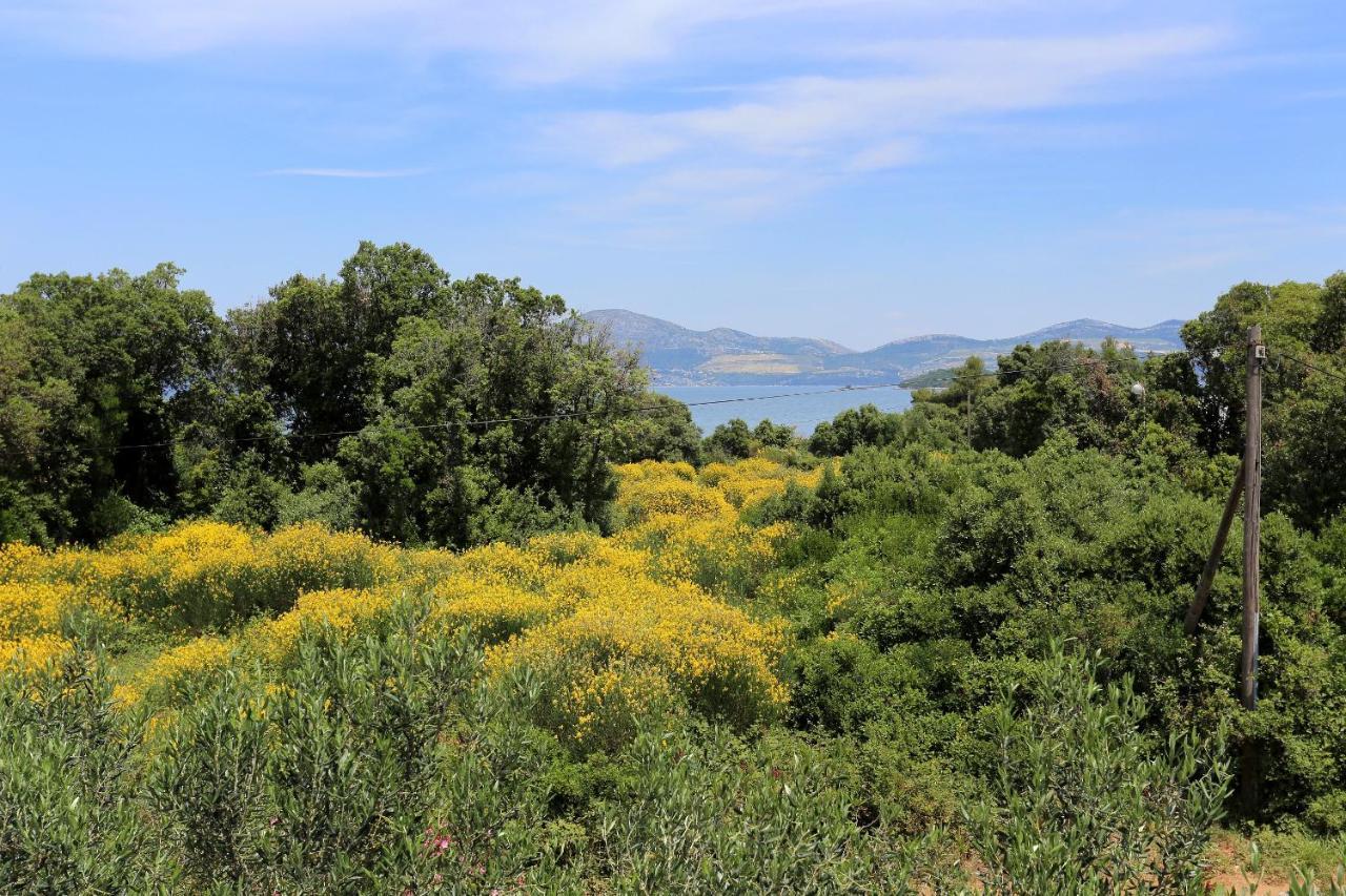 Apartments By The Sea Drace, Peljesac - 10127 מראה חיצוני תמונה