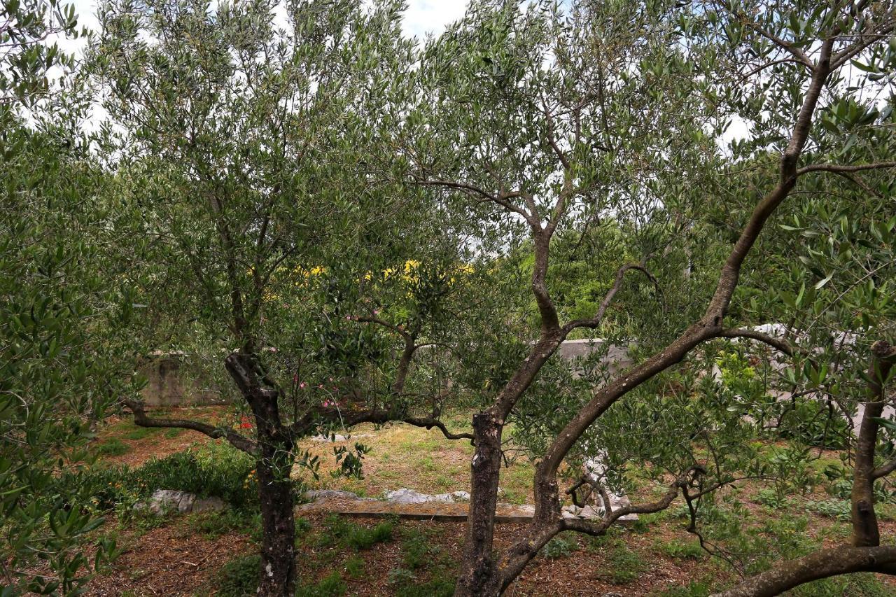 Apartments By The Sea Drace, Peljesac - 10127 מראה חיצוני תמונה